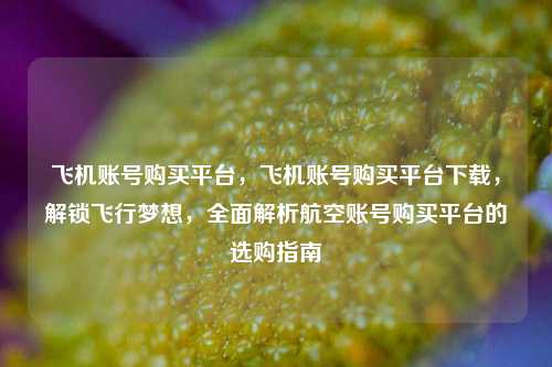 飞机账号购买平台，飞机账号购买平台下载，解锁飞行梦想，全面解析航空账号购买平台的选购指南