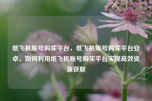纸飞机账号购买平台，纸飞机账号购买平台安卓，如何利用纸飞机账号购买平台实现高效资源获取
