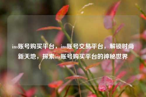 ins账号购买平台，ins账号交易平台，解锁时尚新天地，探索ins账号购买平台的神秘世界