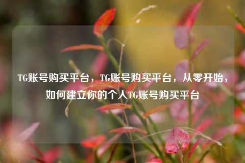 TG账号购买平台，TG账号购买平台，从零开始，如何建立你的个人TG账号购买平台