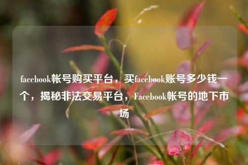 facebook帐号购买平台，买facebook账号多少钱一个，揭秘非法交易平台，Facebook帐号的地下市场