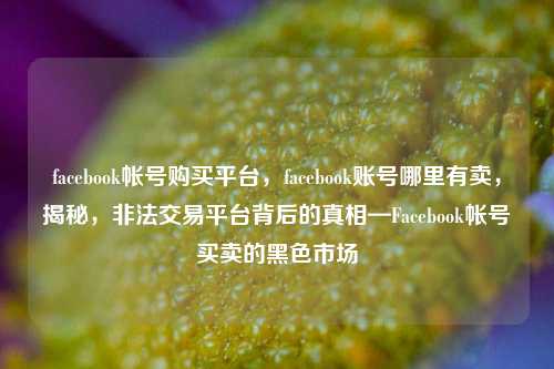 facebook帐号购买平台，facebook账号哪里有卖，揭秘，非法交易平台背后的真相—Facebook帐号买卖的黑色市场