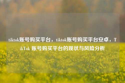 tiktok账号购买平台，tiktok账号购买平台安卓，TikTok 账号购买平台的现状与风险分析
