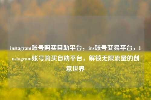 instagram账号购买自助平台，ins账号交易平台，Instagram账号购买自助平台，解锁无限流量的创意世界