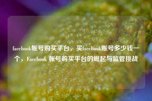 facebook帐号购买平台，买facebook账号多少钱一个，Facebook 帐号购买平台的崛起与监管挑战