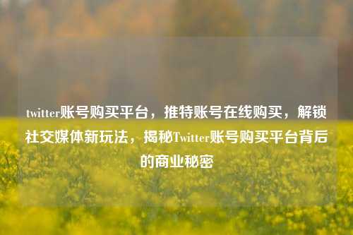 twitter账号购买平台，推特账号在线购买，解锁社交媒体新玩法，揭秘Twitter账号购买平台背后的商业秘密