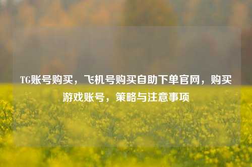 TG账号购买，飞机号购买自助下单官网，购买游戏账号，策略与注意事项