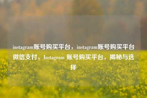 instagram账号购买平台，instagram账号购买平台微信支付，Instagram 账号购买平台，揭秘与选择