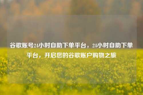 谷歌账号24小时自助下单平台，24小时自助下单平台，开启您的谷歌账户购物之旅