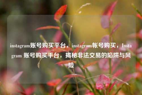 instagram账号购买平台，instagram帐号购买，Instagram 账号购买平台，揭秘非法交易的陷阱与风险
