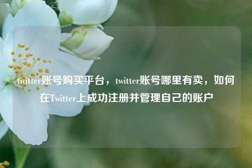 twitter账号购买平台，twitter账号哪里有卖，如何在Twitter上成功注册并管理自己的账户