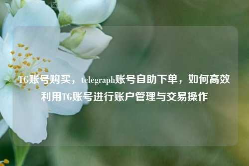 TG账号购买，telegraph账号自助下单，如何高效利用TG账号进行账户管理与交易操作