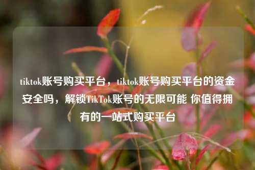 tiktok账号购买平台，tiktok账号购买平台的资金安全吗，解锁TikTok账号的无限可能 你值得拥有的一站式购买平台