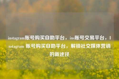 instagram账号购买自助平台，ins账号交易平台	，Instagram 账号购买自助平台，解锁社交媒体营销的新途径  第1张