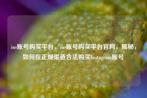 ins账号购买平台，ins账号购买平台官网，揭秘，如何在正规渠道合法购买Instagram账号