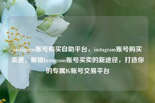 instagram账号购买自助平台，instagram账号购买渠道，解锁Instagram账号买卖的新途径，打造你的专属IG账号交易平台