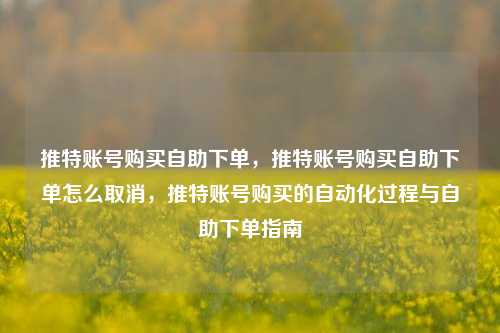 推特账号购买自助下单，推特账号购买自助下单怎么取消，推特账号购买的自动化过程与自助下单指南