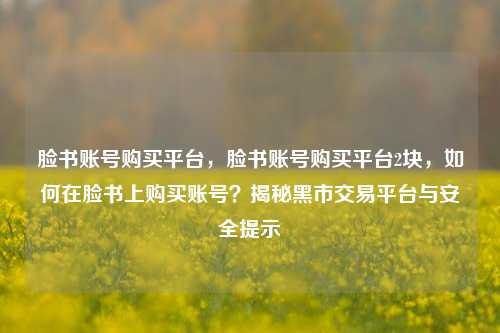 脸书账号购买平台，脸书账号购买平台2块，如何在脸书上购买账号？揭秘黑市交易平台与安全提示