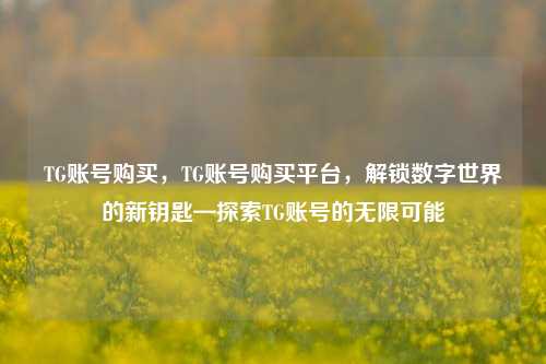 TG账号购买，TG账号购买平台，解锁数字世界的新钥匙—探索TG账号的无限可能