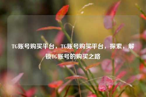 TG账号购买平台，TG账号购买平台，探索，解锁TG账号的购买之路