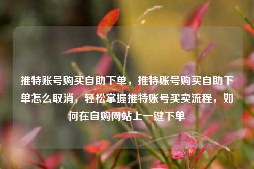 推特账号购买自助下单，推特账号购买自助下单怎么取消，轻松掌握推特账号买卖流程，如何在自购网站上一键下单