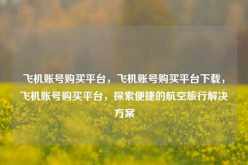 飞机账号购买平台，飞机账号购买平台下载，飞机账号购买平台，探索便捷的航空旅行解决方案