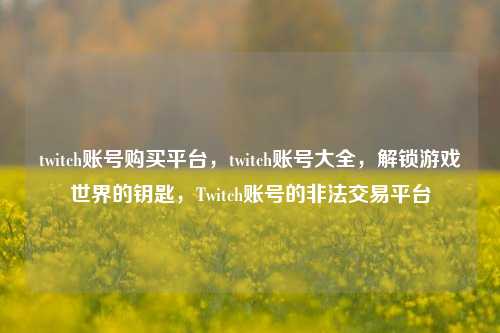 twitch账号购买平台，twitch账号大全，解锁游戏世界的钥匙，Twitch账号的非法交易平台