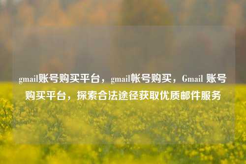 gmail账号购买平台，gmail帐号购买，Gmail 账号购买平台，探索合法途径获取优质邮件服务