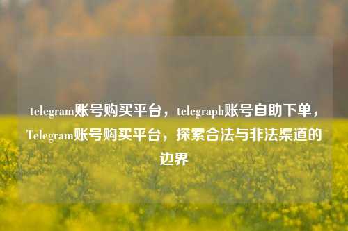 telegram账号购买平台，telegraph账号自助下单，Telegram账号购买平台，探索合法与非法渠道的边界