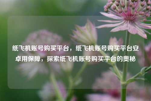 纸飞机账号购买平台，纸飞机账号购买平台安卓用保障，探索纸飞机账号购买平台的奥秘