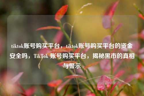 tiktok账号购买平台，tiktok账号购买平台的资金安全吗，TikTok 账号购买平台，揭秘黑市的真相与警示