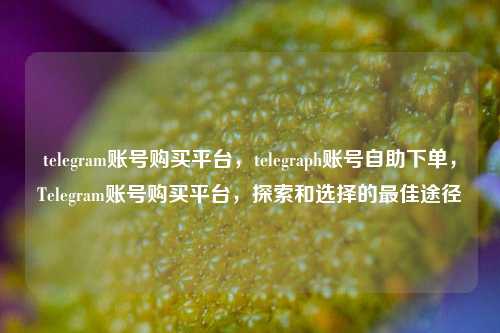 telegram账号购买平台，telegraph账号自助下单，Telegram账号购买平台，探索和选择的最佳途径