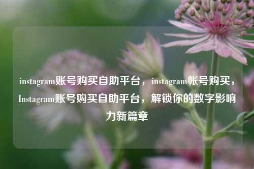 instagram账号购买自助平台，instagram帐号购买，Instagram账号购买自助平台，解锁你的数字影响力新篇章