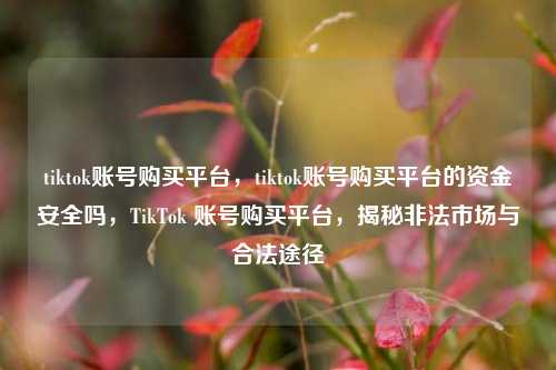 tiktok账号购买平台	，tiktok账号购买平台的资金安全吗，TikTok 账号购买平台，揭秘非法市场与合法途径  第1张