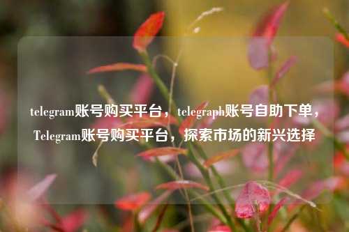 telegram账号购买平台，telegraph账号自助下单，Telegram账号购买平台，探索市场的新兴选择