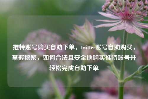 推特账号购买自助下单，twitter账号自助购买，掌握秘密，如何合法且安全地购买推特账号并轻松完成自助下单