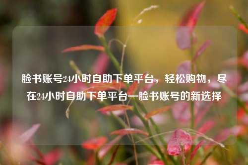 脸书账号24小时自助下单平台，轻松购物，尽在24小时自助下单平台—脸书账号的新选择