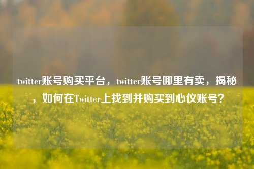 twitter账号购买平台，twitter账号哪里有卖，揭秘，如何在Twitter上找到并购买到心仪账号？