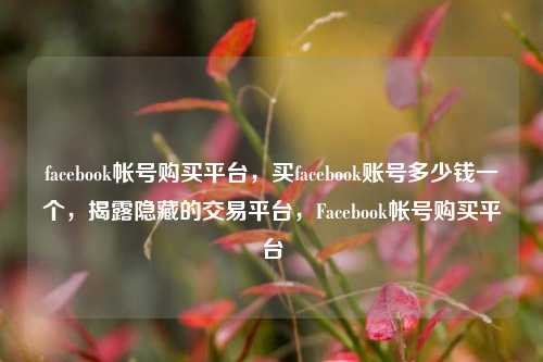 facebook帐号购买平台，买facebook账号多少钱一个，揭露隐藏的交易平台，Facebook帐号购买平台