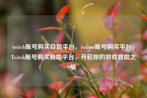 twitch账号购买自助平台，twiiter账号购买平台，Twitch账号购买自助平台，开启你的游戏冒险之旅