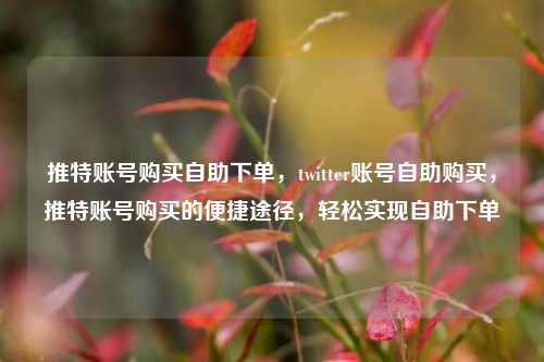 推特账号购买自助下单，twitter账号自助购买，推特账号购买的便捷途径，轻松实现自助下单