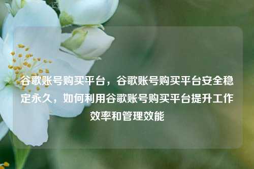 谷歌账号购买平台，谷歌账号购买平台安全稳定永久，如何利用谷歌账号购买平台提升工作效率和管理效能
