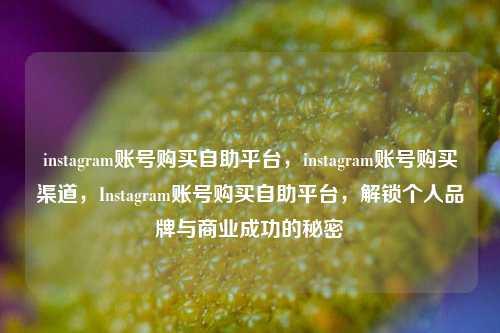 instagram账号购买自助平台，instagram账号购买渠道，Instagram账号购买自助平台，解锁个人品牌与商业成功的秘密