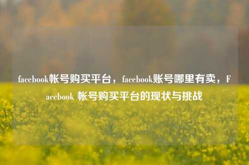 facebook帐号购买平台，facebook账号哪里有卖，Facebook 帐号购买平台的现状与挑战