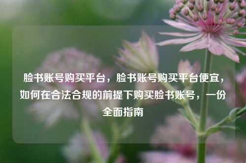 脸书账号购买平台，脸书账号购买平台便宜，如何在合法合规的前提下购买脸书账号，一份全面指南
