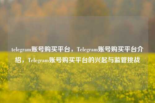 telegram账号购买平台，Telegram账号购买平台介绍，Telegram账号购买平台的兴起与监管挑战