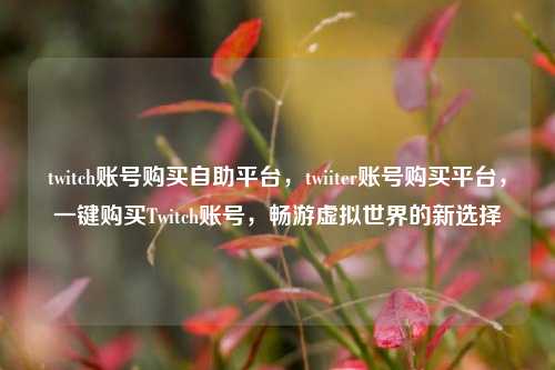 twitch账号购买自助平台，twiiter账号购买平台，一键购买Twitch账号，畅游虚拟世界的新选择