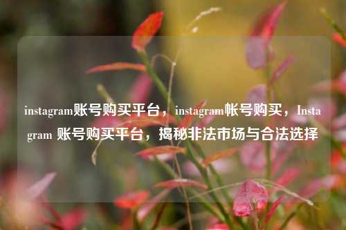 instagram账号购买平台，instagram帐号购买，Instagram 账号购买平台	，揭秘非法市场与合法选择  第1张