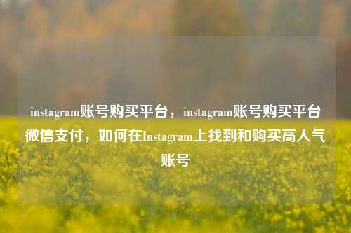 instagram账号购买平台，instagram账号购买平台微信支付，如何在Instagram上找到和购买高人气账号