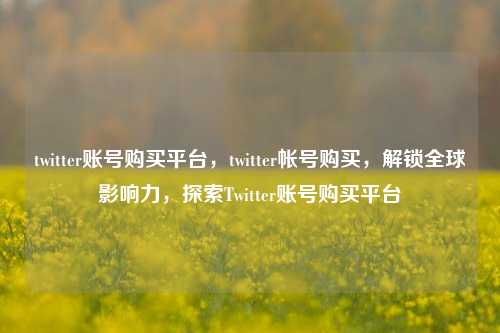 twitter账号购买平台，twitter帐号购买，解锁全球影响力，探索Twitter账号购买平台